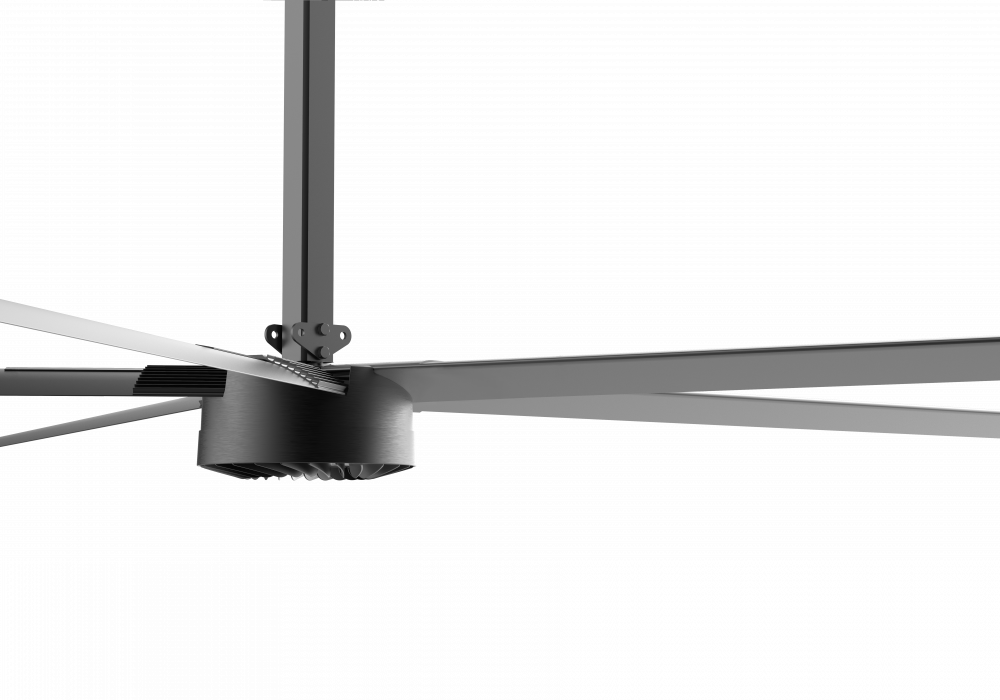 BEF-0802-3-min