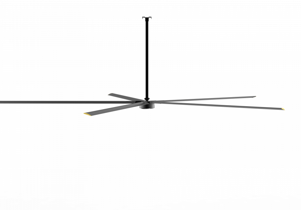 PS-L5 (6)-min