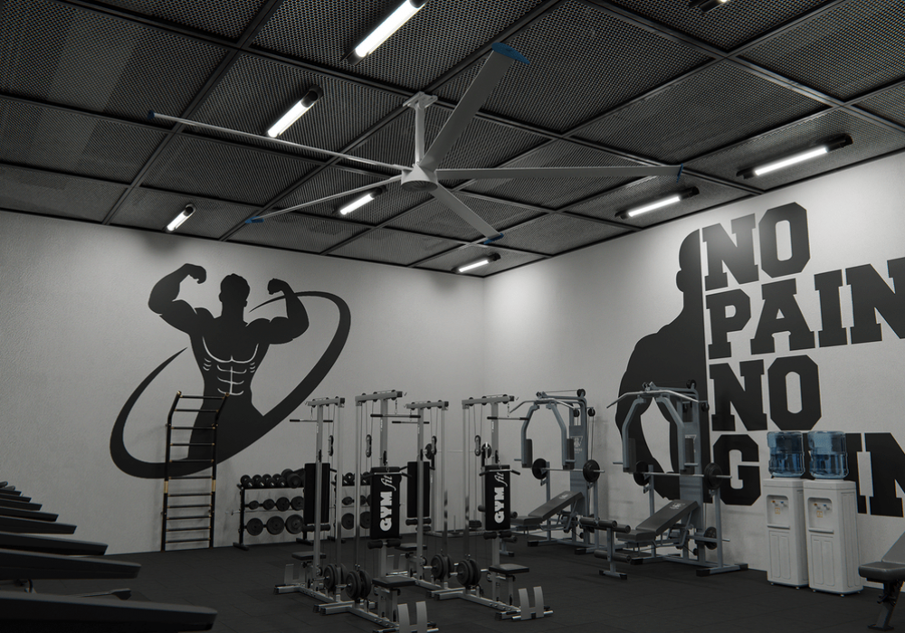 Screenshot 2025-04-02 at 09-33-45 Gym 5.png - Swifter Fans - Frame.io-min
