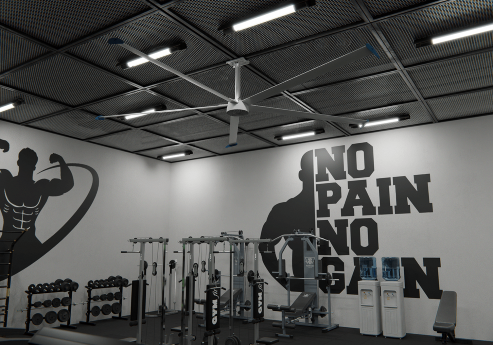 Screenshot 2025-04-02 at 09-33-55 Gym 4.png - Swifter Fans - Frame.io-min