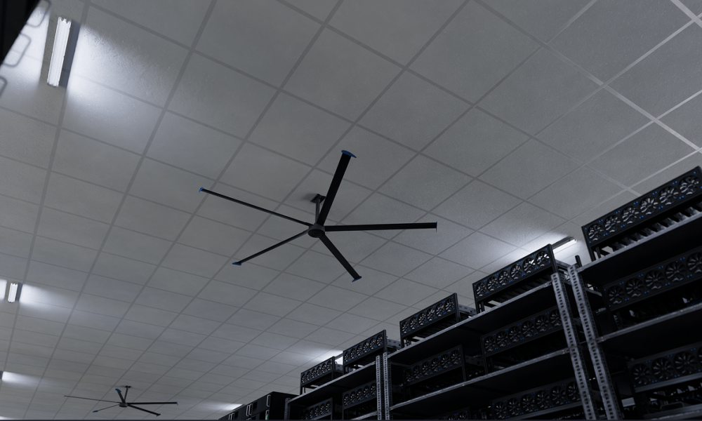 Screenshot 2025-04-02 at 10-10-52 Server 2.png - Swifter Fans - Frame.io-min